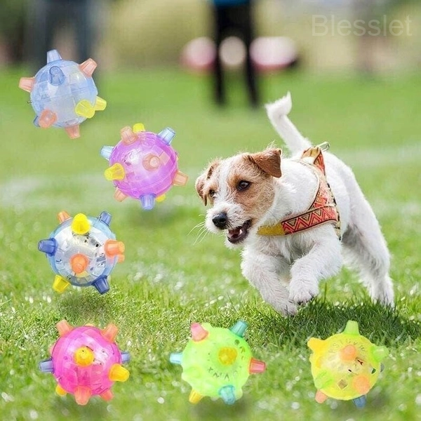 LED Jumping Activation Ball for Dogs and Cats – Interactive Pet Toy