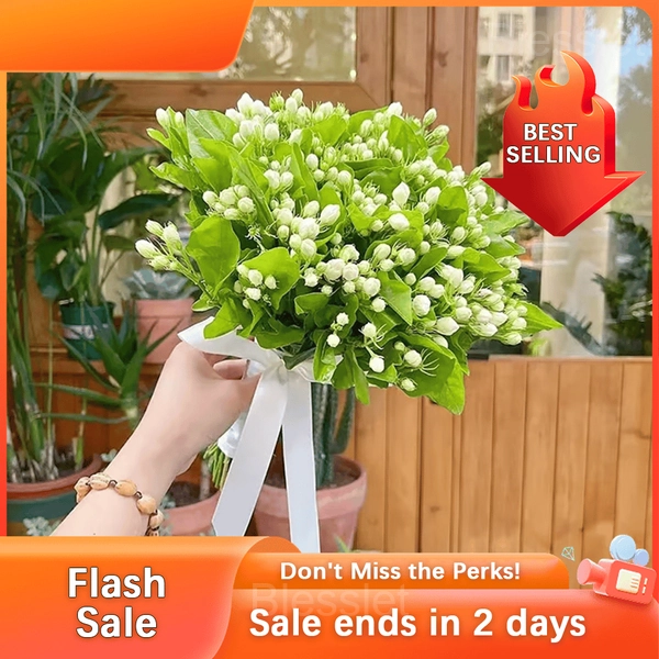 Double Jasmine Seeds - Fragrant Evergreen Garden Climber Gift Pack - Buy 2🔥