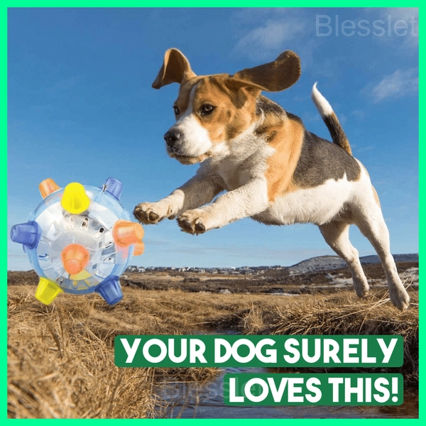Interactive Jumping Activation Ball for Dogs with Light & Sound - BUY 2 GET 1 FREE（3 PCS）🔥