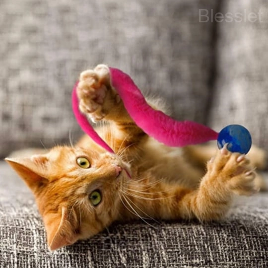 Interactive Jiggle Ball Cat Toy – Plush Wiggly Exercise Ball