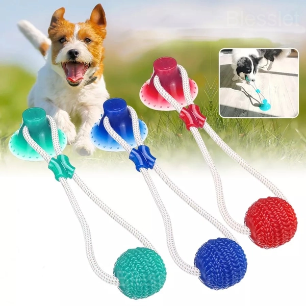 Multifunctional Dog Molar Bite Toy for Teeth Cleaning & Play - Blue