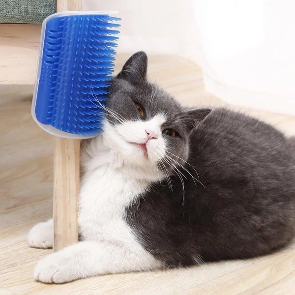 Corner Massage Cat Brush - Self-Grooming & Catnip Friendly - Blue