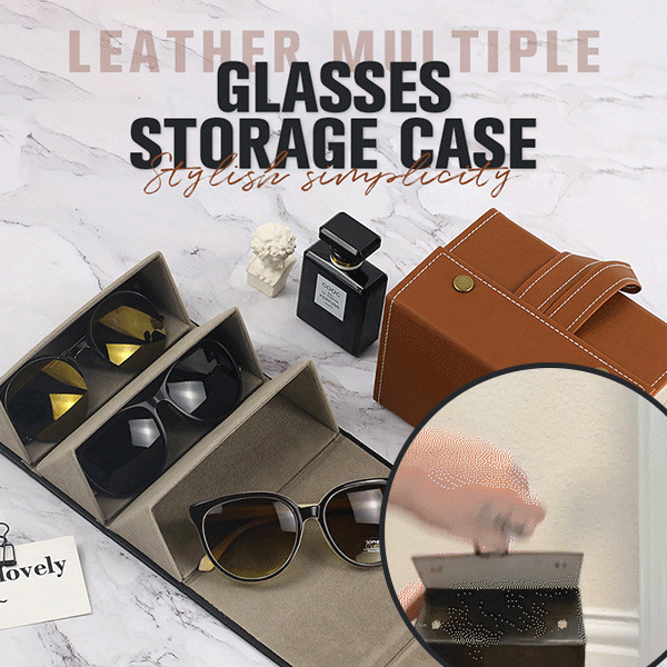 6-Slot Travel Sunglasses Organizer Case with Portable Design