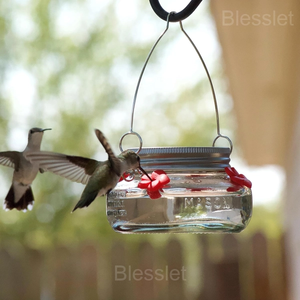 16oz Plastic Hummingbird Feeder with Four Feeding Ports