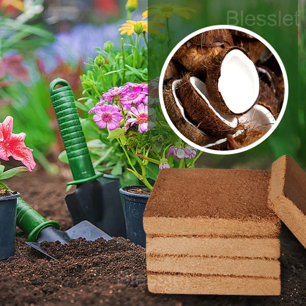 Organic Coconut Coir Growing Medium for Healthy Plant Growth