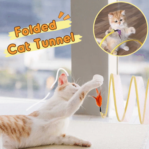 Collapsible Foldable Cat Tunnel with Teaser Toys & Durable Mesh