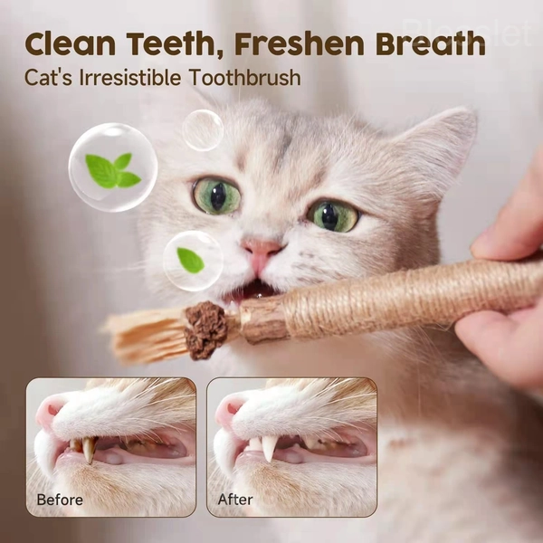 Natural Silvervine Cat Chew Toy for Dental Health & Stress Relief